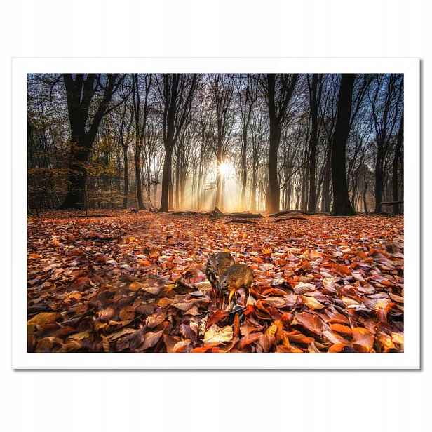 Plakáty v rámu 40x30 Ohrožený vyhynutím