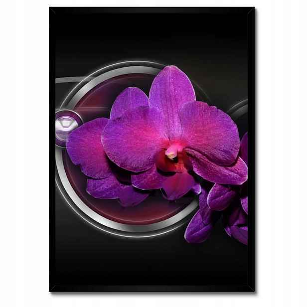 Plakáty v rámu 50x70 Fialová orchidej