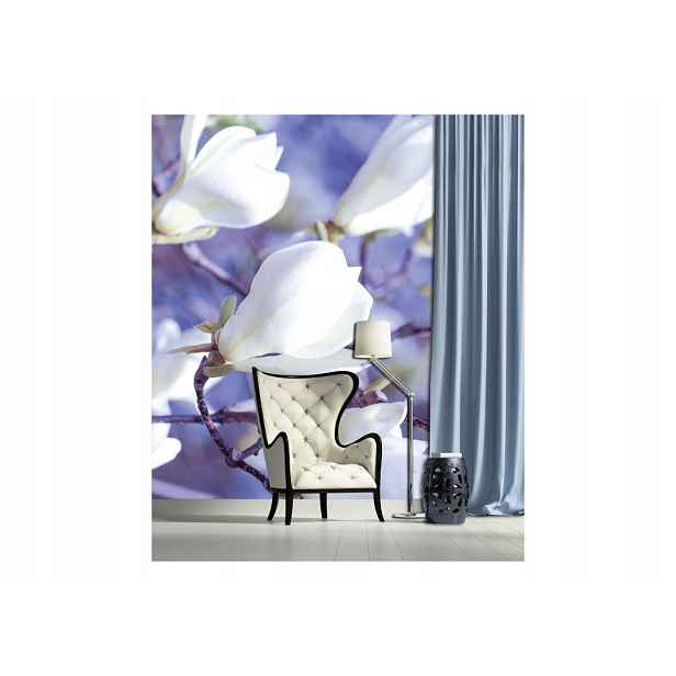 Fototapeta Magnolie bílé květy jaro vinylová 184x254 lepidlo