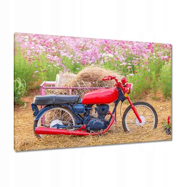 Obrazy 120x80 Červený motocykl Květiny