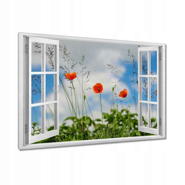 Obrazy 120x80 Červené polní máky