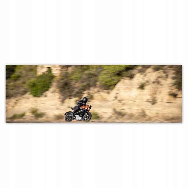 Plakáty 200x66 Harley Davidson Motocykl