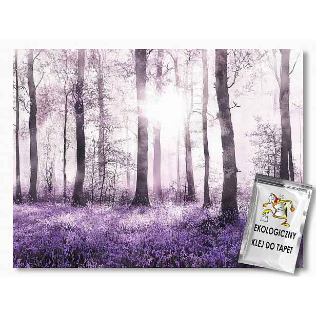 Fototapeta Flizelina Les Stromy Fialové Květy Zvonky 416x254 130g