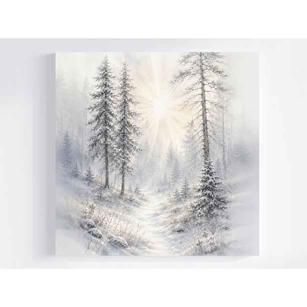 Obraz Na Plátně Canvas Krajina Zima Sníh Mráz Hory Les Ráno Úsvit 50x50