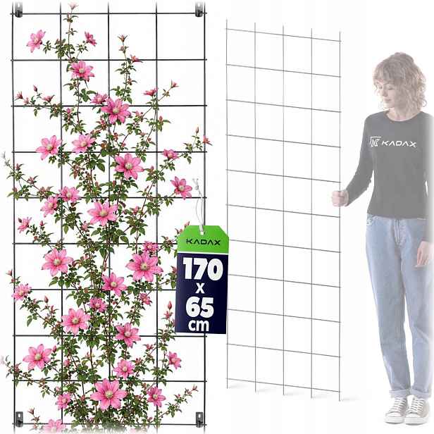 Zahradní Pergola Kovová Podpora Pro Rostliny Růží Květin Mřížka 65x170cm