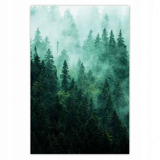 Fototapety 122x184 Les Mlha Krajina Cestování