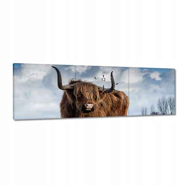 Hodiny 120x40 Skotská kráva
