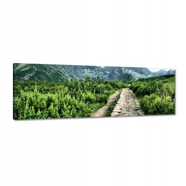 Obrazy 120x40 Kamenná cesta Tatry