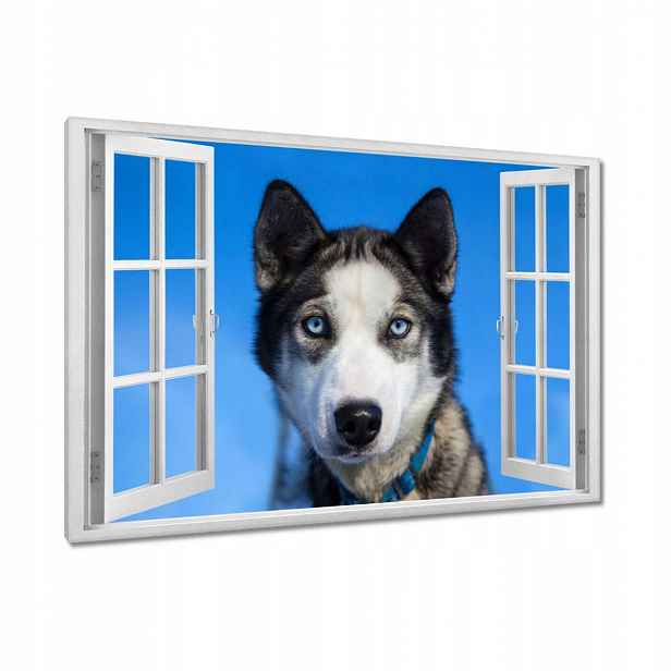 Obrazy 90x60 Husky