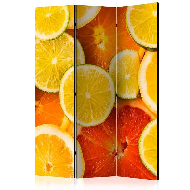 Paraván Citrus fruits Dekorhome