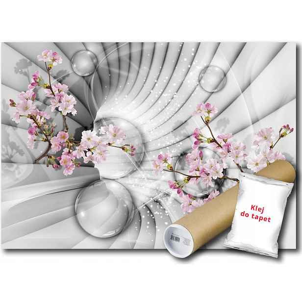 Fototapeta Tunel 3D 10C V8 368x254 F10200