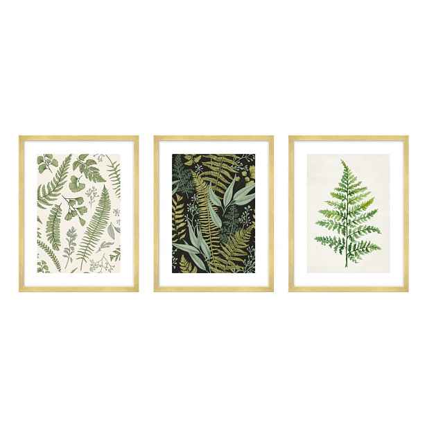 Obrazy v sadě 3 ks 30x40 cm Fern – knor