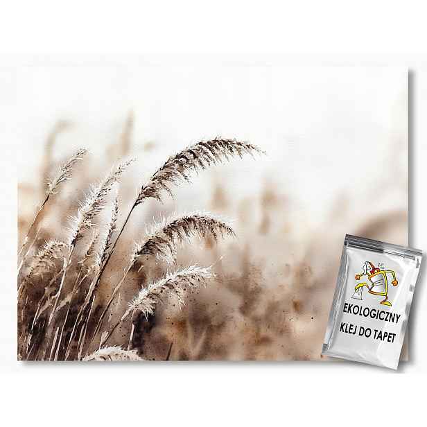 Fototapeta Flizelina Rostlinnost Tráva Ozdobná Sepia Boho 208x146 130g
