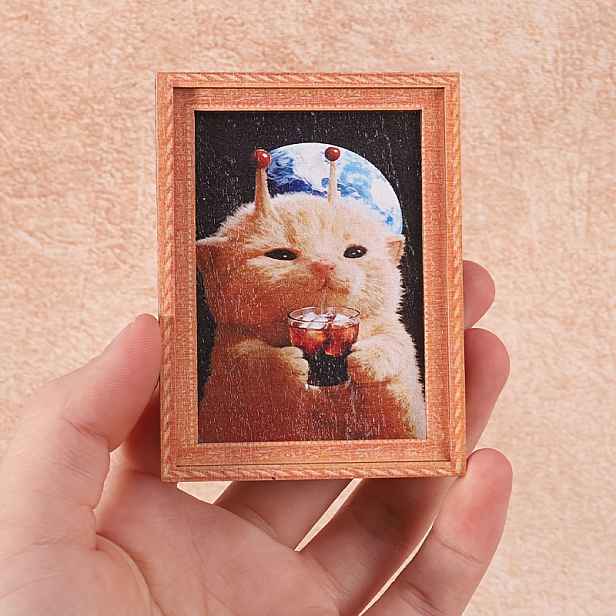 TEMU 1 Mini Magnet na Lednici ve Tvaru Fotografického Rámečku, Nádherný Dárek k Dekoraci Domova s Kočičím Mimozemšťanem Pokoušejícím se Ovládnout ,