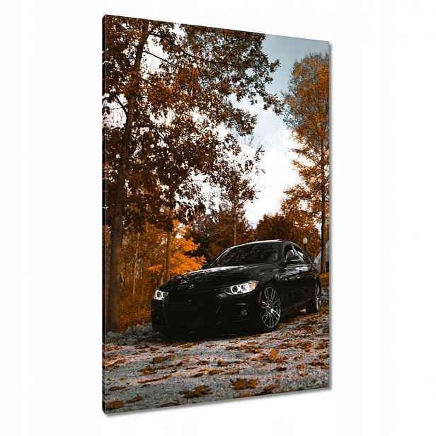 Obrazy 80x120 Černé Bmw Podzim