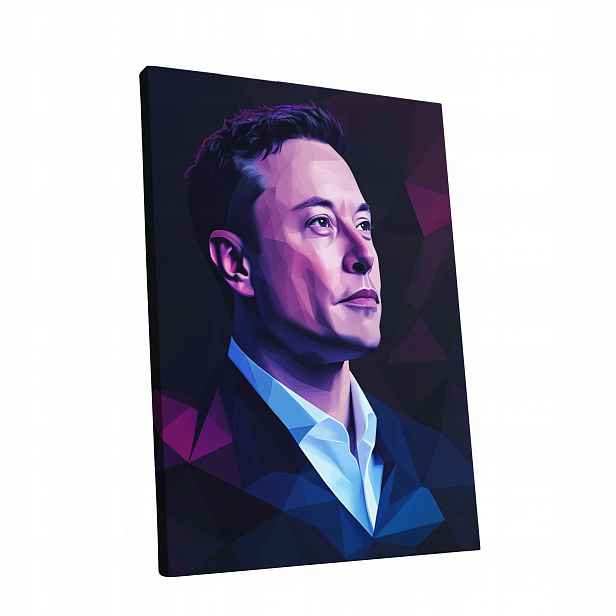 Obraz na plátně Portrét Elon Musk v obývacím pokoji Elona Muska dárek 60x80