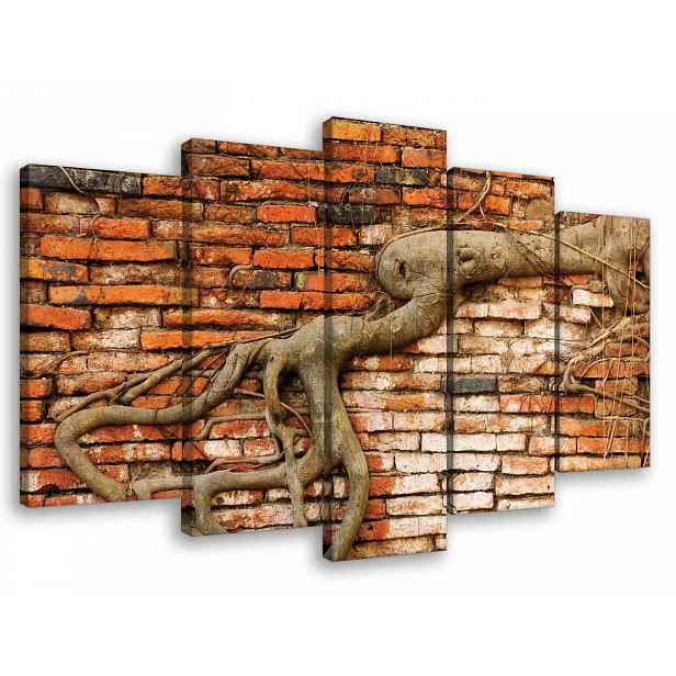Obraz Na Plátně Plátno 100x60 Strom Kůra Kořen