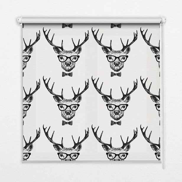 TULUP VNITŘNÍ roleta - okenní roleta - roleta - 60x140 cm - Sob s brýlemi