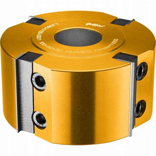 Globus Hoblovací hlava 100x40x4Z H50