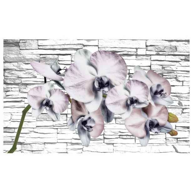 Fototapeta Orchideje na cihlové zdi bílé vinylové květiny 312x219 lepidlo
