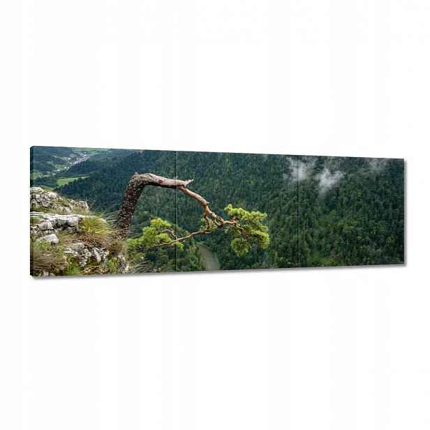 Obrazy 120x40 Krajina Sokolica