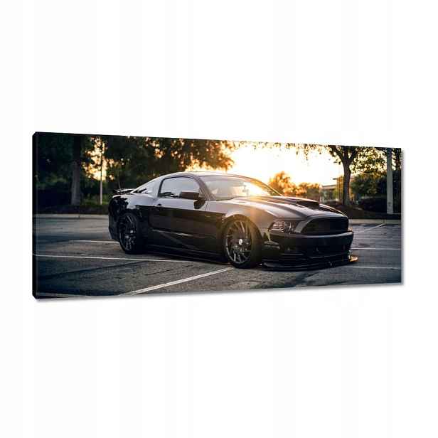 Obrazy 100x40 Černá bestie Mustang