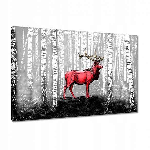 Obrazy 90x60 Jelen Bříza Břízy Les