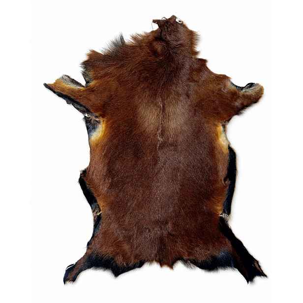 Ovčí kůže „kameruňská“ Tmavě hnědá-100 cm/XXL (Matka) 100% přírodní!