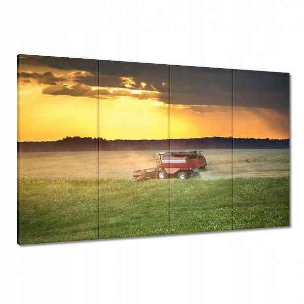 Obrazy 120x80 Kombajn seká zlaté obilí