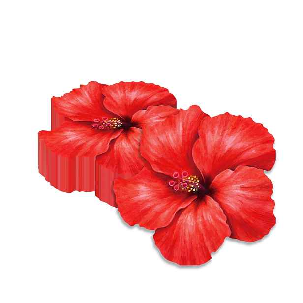 TEMU Sada 20 papírových ubrousků s hibiskusů, ideální pro slavnostní příležitosti, jako jsou jarní oslavy, výročí a svatební sprchy na Halloween a