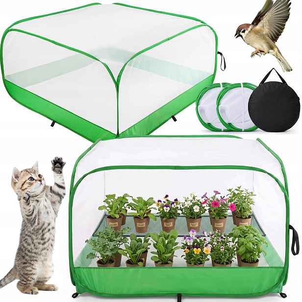 Ochranná Síť Na Sazenice Typu Pop-up Zelená 100X100X50 CM Na Zahradě