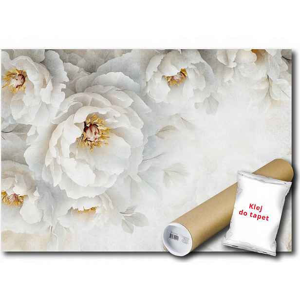 Vinylová fototapeta Velké bílé květy Příroda Flora 368x254
