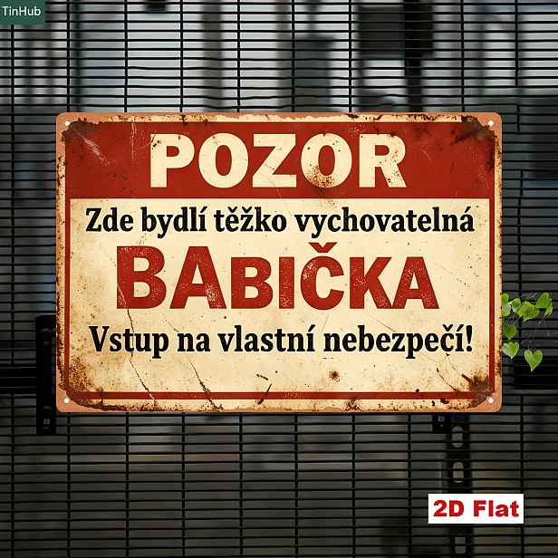 TEMU 2D plochá 1 vintage česká kovová cedule, 20X30 cm železná cedule, vtipné Zde žije nekontrolovatelná babička, Vstup na vlastní riziko citáty,