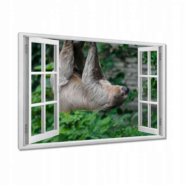 Obrazy 90x60 Lenochod během lenošení