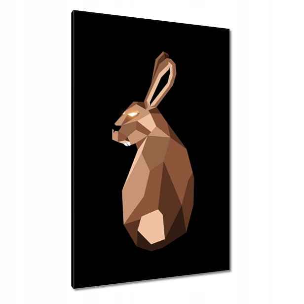Obrazy 80x120 Zajíček na černém pozadí