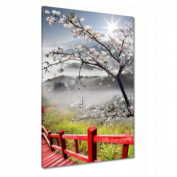Obrazy 80x120 Červený most v Japonsku