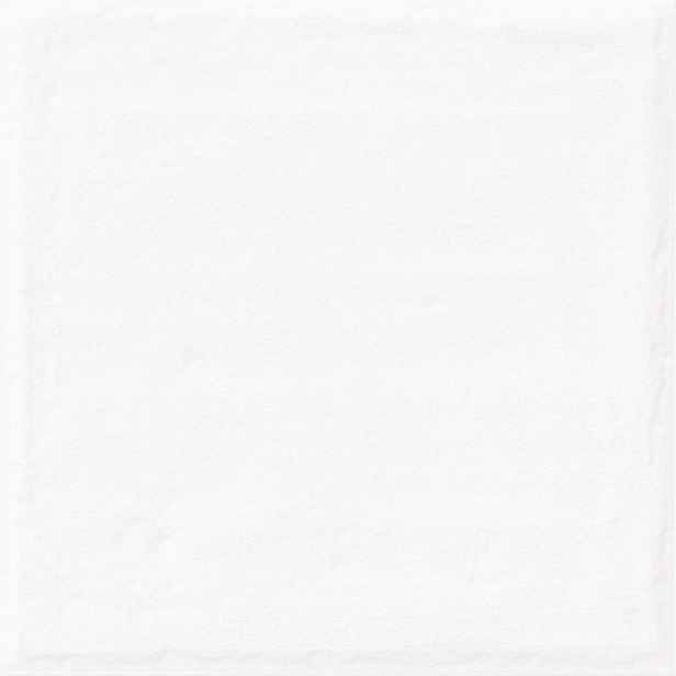 Obklad Vilar Albaro Nairobi white 20x20 cm lesk NAIROBI10WH