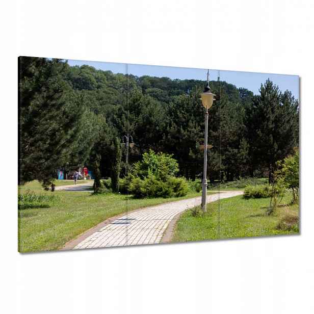 Obrazy 120x80 Zelený park se stromy
