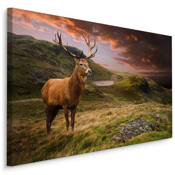 MyBestHome BOX Plátno Jelen Na Pozadí Zatažené Oblohy Varianta: 40x30
