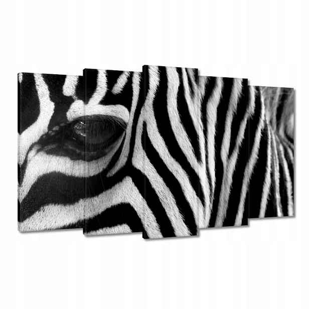Obrazy 100x60 Černobílé pruhy Zebra