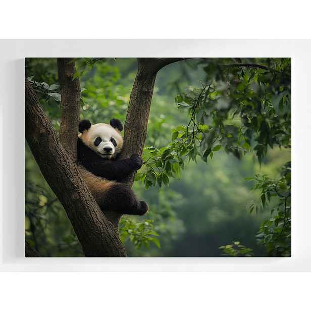 Plakát Zvíře Příroda Medvídek Panda Dřevo 100x75