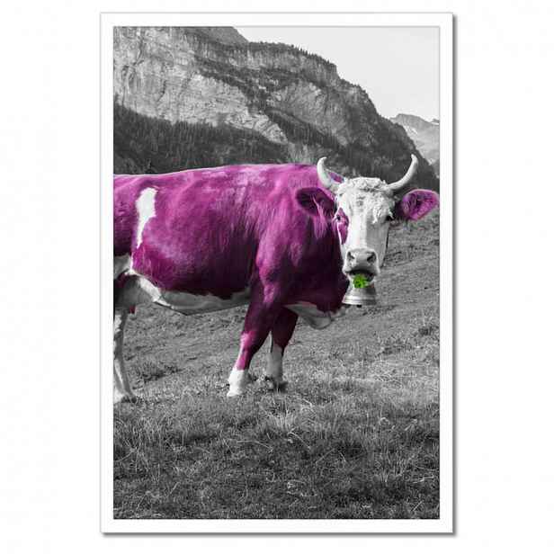 Plakáty v rámu 40x60 Fialová kráva Emilka