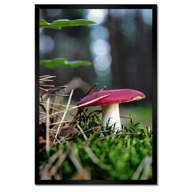 Plakáty v rámu 40x60 Houba Červená muchomůrka