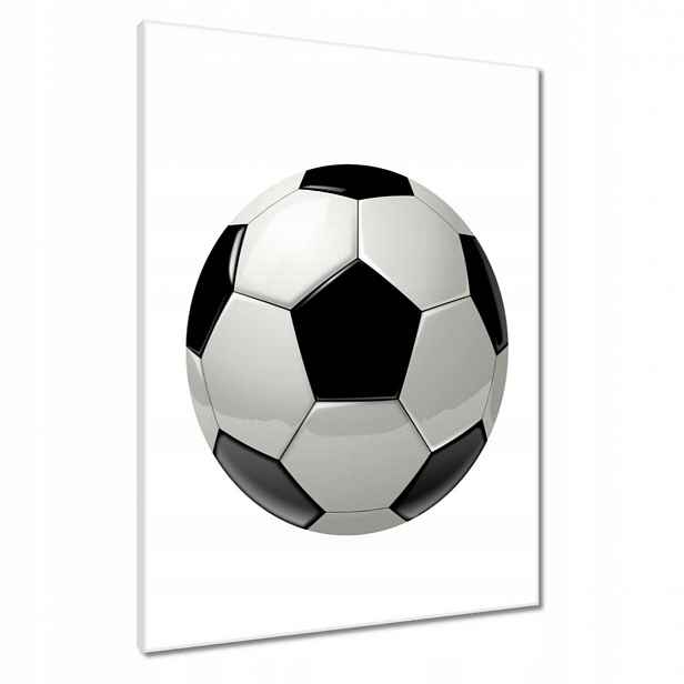 Obrazy 60x80 Fotbal na nohu