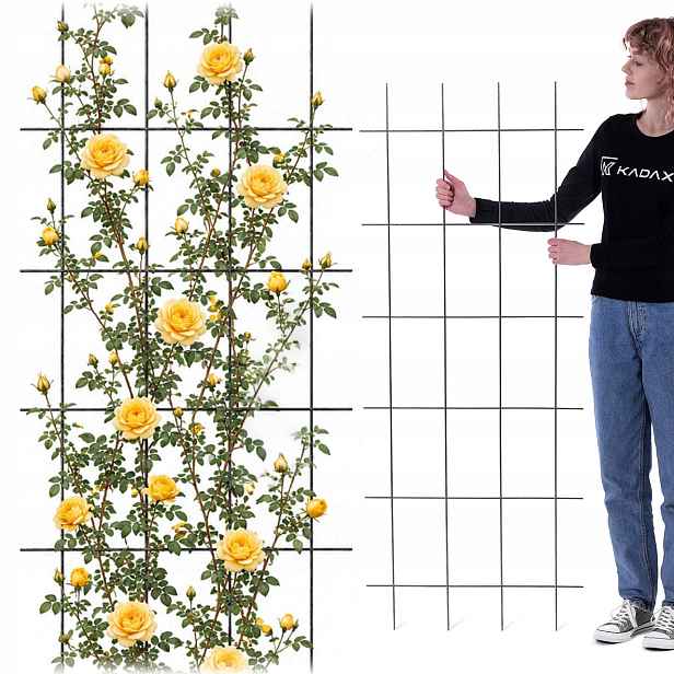 Zahradní Pergola 60x150 cm Kovová Podpěra Pro Rostliny Růží Květy Mřížka