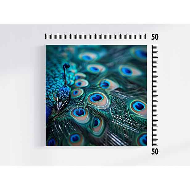 Obraz Na Plátně Obraz Na Plátně Příroda Makro Fotografie Pták Páv 50x50
