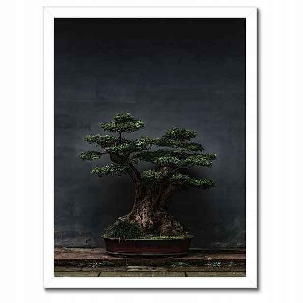 Plakáty v rámu 30x40 Bonsai Stromek Kultura