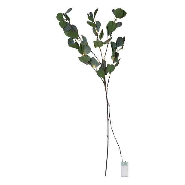 Zelená LED světelná dekorace Star Trading Eucalyptus, délka 90 cm