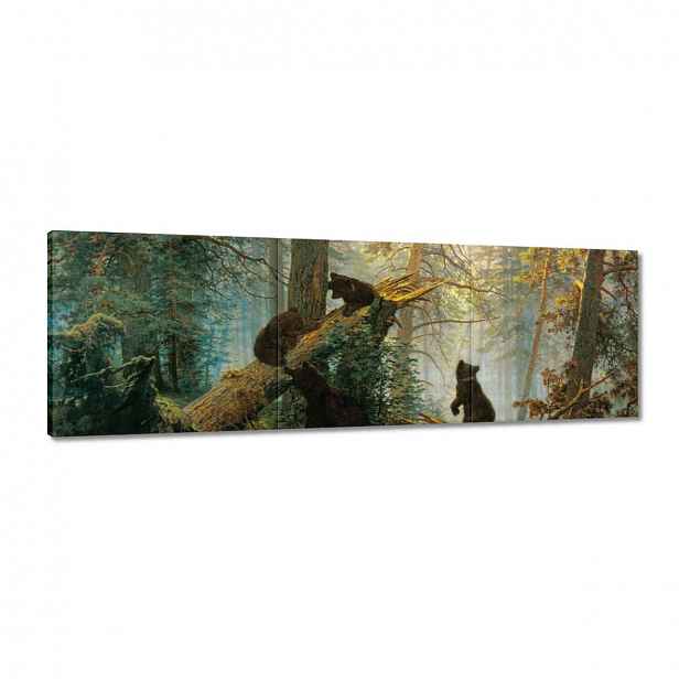 Obrazy 120x40 Ráno v borovém lese