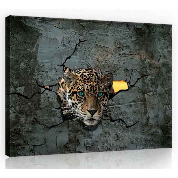Obraz Na Plátně Plátno 80x60 Jaguár Kočka Na Zeď